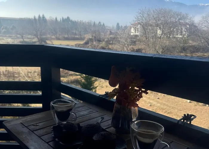 уютни планински с басейн в комплекс алпин лодж 班斯科